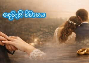 sinhala novels